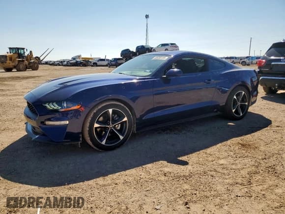 ✅ 2019 Ford Mustang EcoBoost • VIN: 1FA6P8TH9K5201493 • Lot: 80530735. Listed on Copart with 28,294 mi. Free auction sales archive from the USA and detailed vehicle history report at DreamBid. Image 1.