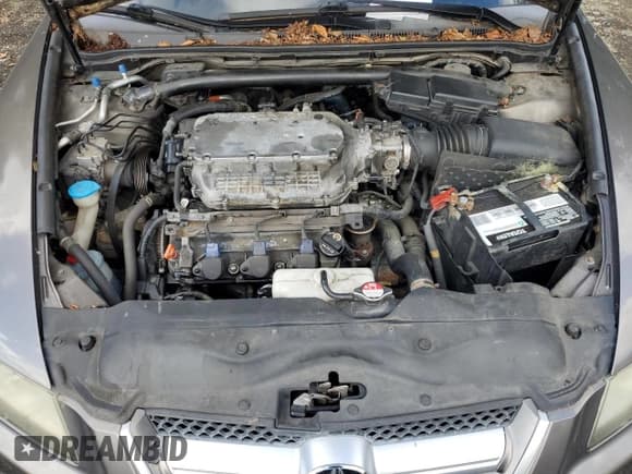 ✅ 2008 Acura TL • VIN: 19UUA66258A012419 • Lot: 86301775. Wystawiony na Copart z przebiegiem 233 364 mil. Bezpłatny archiwum sprzedaży aukcyjnych z USA i szczegółowy raport historii pojazdu na DreamBid. Zdjęcie 11.