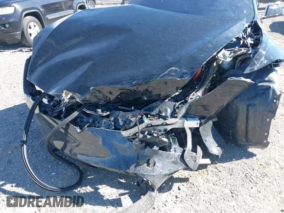 ✅ 2024 Tesla Model S Plaid • VIN: 5YJSA1E64RF533525 • Lot: 42922540. Listed on IAAI with Not provided. Free auction sales archive from the USA and detailed vehicle history report at DreamBid. Image 6.