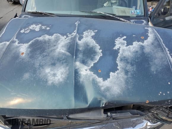 ✅ 1994 Ford Bronco Eddie Bauer • VIN: 1FMEU15N3RLA54792 • Lot: 65905724. Listed on Copart with Not provided. Free auction sales archive from the USA and detailed vehicle history report at DreamBid. Image 12.