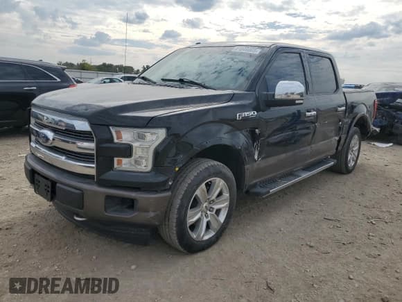 ✅ 2017 Ford F-150 XL • VIN: 1FTEW1EG5HFA95728 • Лот: 81849005. Опубликован ранее на Copart с пробегом 113 629 миль. Бесплатный доступ к архиву аукционных продаж из США и подробный отчёт об истории автомобиля на DreamBid. Изображение 1.