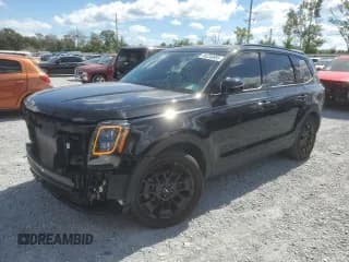 ✅ 2022 Kia Telluride SX • VIN: 5XYP5DHC4NG297149 • Лот: 86230885. Опубликован ранее на Copart с пробегом 17 389 миль. Бесплатный доступ к архиву аукционных продаж из США и подробный отчёт об истории автомобиля на DreamBid. Изображение 1.