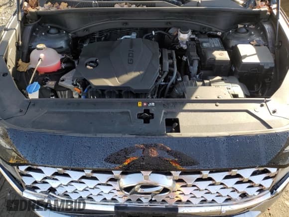 ✅ 2021 Hyundai Santa Fe SEL • VIN: 5NMS3DAJ8MH322146 • Lot: 41924703. Wystawiony na Copart z przebiegiem 20 139 mil. Bezpłatny archiwum sprzedaży aukcyjnych z USA i szczegółowy raport historii pojazdu na DreamBid. Zdjęcie 12.