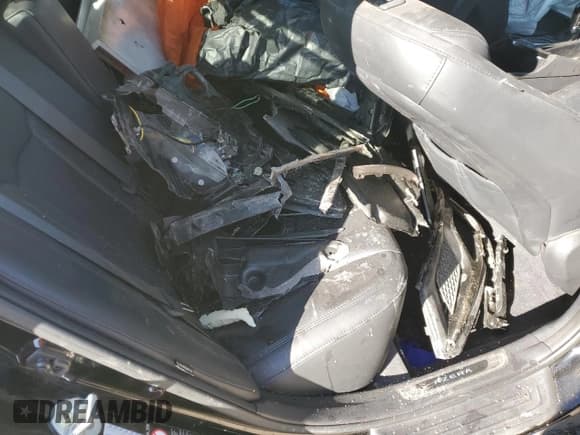 ✅ 2017 Hyundai Azera Limited • VIN: KMHFH4JG9HA581134 • Lot: 49957615. Listed on Copart with Not provided. Free auction sales archive from the USA and detailed vehicle history report at DreamBid. Image 12.