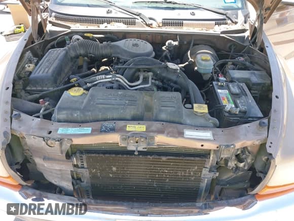 ✅ 2000 Dodge Dakota Sport • VIN: 1B7GL2AZ8YS716918 • Lot: 42467015. Listed on IAAI with 149,961 mi. Free auction sales archive from the USA and detailed vehicle history report at DreamBid. Image 10.