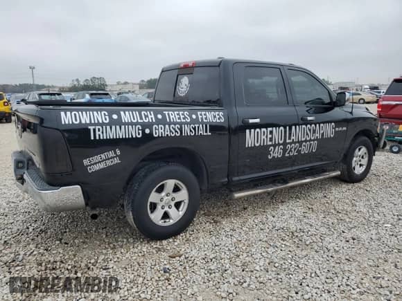 2009 Dodge 1500 TRX with VIN 1D3HB13P89S718769, listed as a Copart auction lot 42966605 with 176,378 mi miles and Salvage title. Bid and sale history available at DreamBid. Image 3.