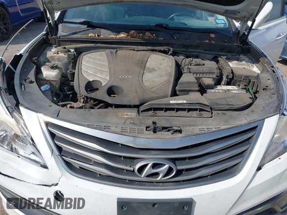 ✅ 2015 Hyundai Azera Limited • VIN: KMHFH4JG7FA476458 • Lot: 41893979. Wystawiony na IAAI z przebiegiem 149 114 mil. Bezpłatny archiwum sprzedaży aukcyjnych z USA i szczegółowy raport historii pojazdu na DreamBid. Zdjęcie 10.