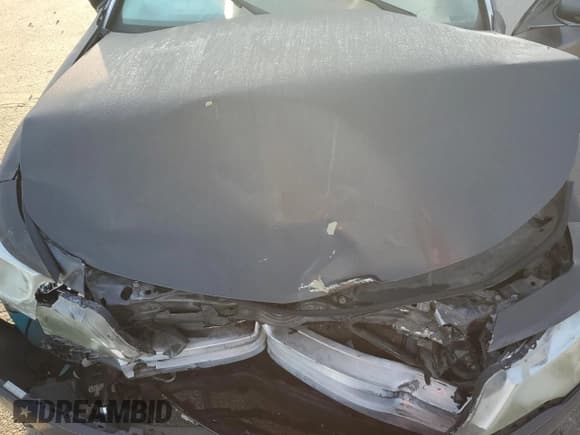 ✅ 2010 Acura TL Technology • VIN: 19UUA8F57AA013583 • Лот: 89739755. Опубликован ранее на Copart с пробегом 213 462 миль. Бесплатный доступ к архиву аукционных продаж из США и подробный отчёт об истории автомобиля на DreamBid. Изображение 11.