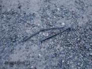 ✅ 2003 Volkswagen Passat • VIN: WVWLK63B33E378165 • Lot: 84969534. Listed on Copart with 105,162 mi. Free auction sales archive from the USA and detailed vehicle history report at DreamBid. Image 13.