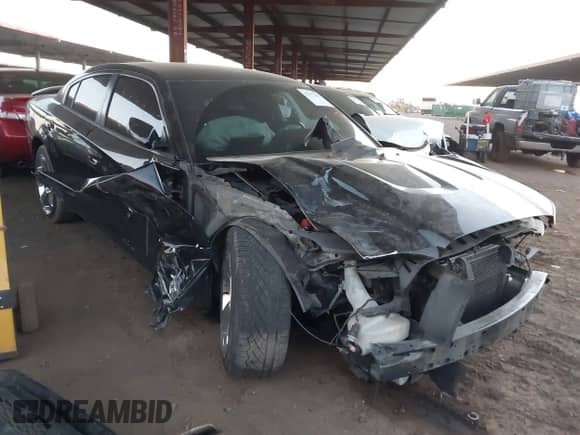 ✅ 2014 Dodge Charger RT • VIN: 2C3CDXCT0EH137978 • Lot: 41177391. Listed on IAAI with 119,143 mi. Free auction sales archive from the USA and detailed vehicle history report at DreamBid. Image 1.