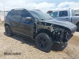 ✅ 2016 Jeep Cherokee Trailhawk • VIN: 1C4PJMBS4GW243691 • Lot: 42916939. Wystawiony na IAAI z przebiegiem 137 473 mil. Bezpłatny archiwum sprzedaży aukcyjnych z USA i szczegółowy raport historii pojazdu na DreamBid. Zdjęcie 1.