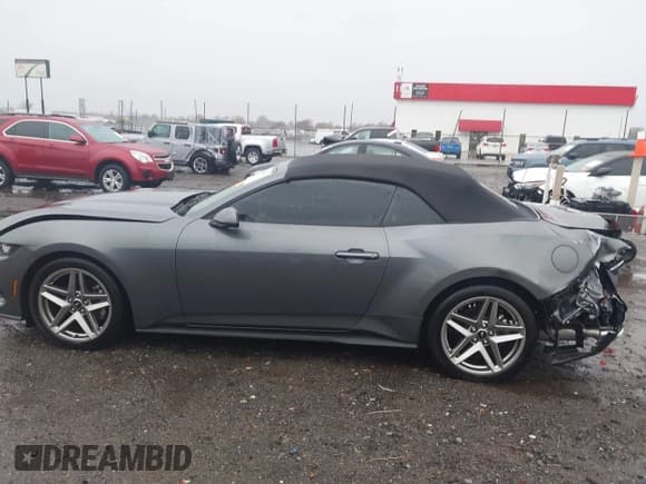 ✅ 2024 Ford Mustang EcoBoost Premium • VIN: 1FAGP8UH2R5110708 • Lot: 43757999. Wystawiony na IAAI z przebiegiem 3 832 mil. Bezpłatny archiwum sprzedaży aukcyjnych z USA i szczegółowy raport historii pojazdu na DreamBid. Zdjęcie 14.