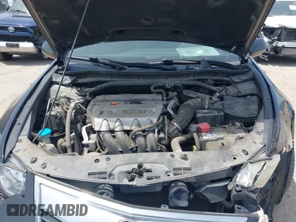 ✅ 2014 Acura TSX • VIN: JH4CU2F48EC003109 • Lot: 42768319. Wystawiony na IAAI z przebiegiem 123 361 mil. Bezpłatny archiwum sprzedaży aukcyjnych z USA i szczegółowy raport historii pojazdu na DreamBid. Zdjęcie 10.