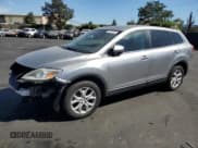 ✅ 2011 Mazda CX-9 Sport • VIN: JM3TB3BV6B0311699 • Lot: 66379435. Wystawiony na Copart z przebiegiem 123 513 mil. Bezpłatny archiwum sprzedaży aukcyjnych z USA i szczegółowy raport historii pojazdu na DreamBid. Zdjęcie 1.