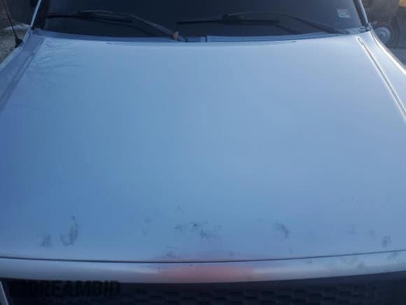 ✅ 2006 Ford F-150 XLT • VIN: 1FTPX04596KB93701 • Lot: 87672425. Listed on Copart with 102,128 mi. Free auction sales archive from the USA and detailed vehicle history report at DreamBid. Image 11.