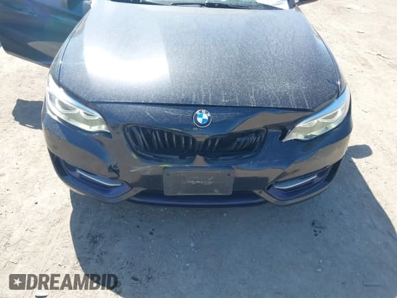 ✅ 2017 BMW 2 Series 230i xDrive • VIN: WBA2M9C38HV717684 • Лот: 41725947. Опубликован ранее на IAAI с пробегом 113 320 миль. Бесплатный доступ к архиву аукционных продаж из США и подробный отчёт об истории автомобиля на DreamBid. Изображение 6.