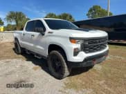 ✅ 2022 Chevrolet Silverado 1500 Custom Trail Boss • VIN: 3GCUDCET0NG553356 • Lot: 92641155. Listed on Copart with 134,759 mi. Free auction sales archive from the USA and detailed vehicle history report at DreamBid. Image 1.