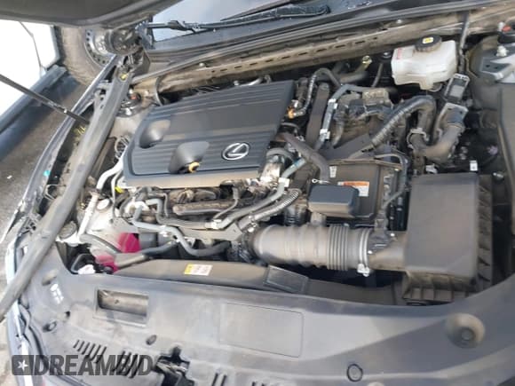 ✅ 2022 Lexus ES 300h Luxury • VIN: 58AEA1C16NU014227 • Lot: 41504883. Listed on IAAI with 55,850 mi. Free auction sales archive from the USA and detailed vehicle history report at DreamBid. Image 10.