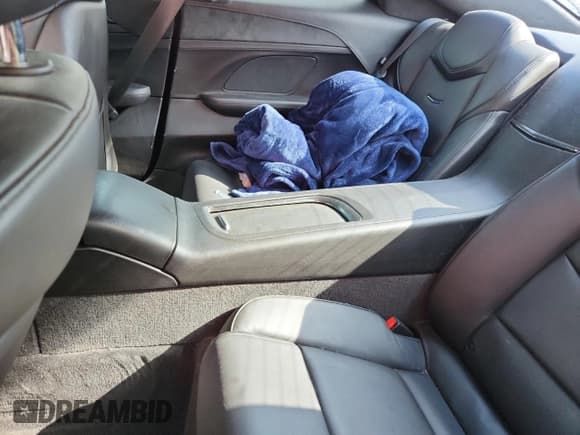 ✅ 2014 Cadillac ELR • VIN: 1G6RR1E42EU600245 • Lot: 63372895. Listed on Copart with Not provided. Free auction sales archive from the USA and detailed vehicle history report at DreamBid. Image 10.