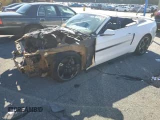 ✅ 2021 Ford Mustang GT Premium • VIN: 1FATP8FF1M5135425 • Lot: 84251125. Listed on Copart with Not provided. Free auction sales archive from the USA and detailed vehicle history report at DreamBid. Image 1.