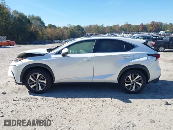 ✅ 2019 Lexus NX 300 • VIN: JTJYARBZ2K2125957 • Lot: 43628357. Listed on IAAI with 55,640 mi. Free auction sales archive from the USA and detailed vehicle history report at DreamBid. Image 14.