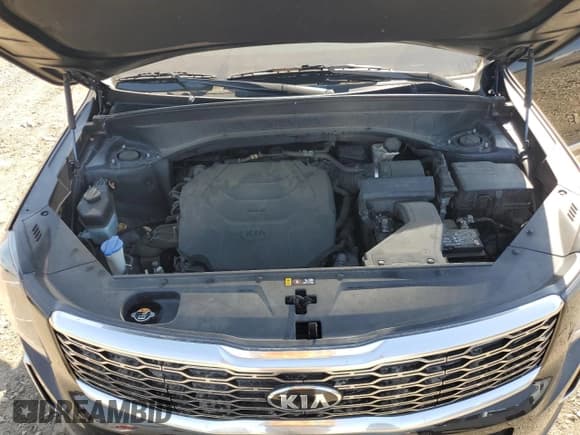 ✅ 2021 Kia Telluride S • VIN: 5XYP6DHC3MG123357 • Lot: 80869285. Wystawiony na Copart z przebiegiem 63 998 mil. Bezpłatny archiwum sprzedaży aukcyjnych z USA i szczegółowy raport historii pojazdu na DreamBid. Zdjęcie 12.