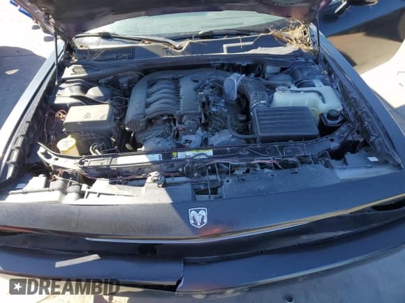 ✅ 2009 Dodge Challenger SE • VIN: 2B3LJ44V69H598662 • Lot: 50603815. Wystawiony na Copart z przebiegiem Nie podano. Bezpłatny archiwum sprzedaży aukcyjnych z USA i szczegółowy raport historii pojazdu na DreamBid. Zdjęcie 11.