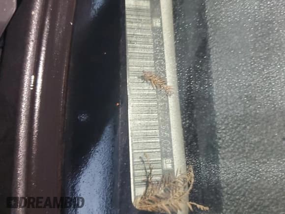 ✅ 2008 GMC Sierra 2500HD Work Truck • VIN: 1GTHC23KX8F125602 • Lot: 54636834. Wystawiony na Copart z przebiegiem Nie podano. Bezpłatny archiwum sprzedaży aukcyjnych z USA i szczegółowy raport historii pojazdu na DreamBid. Zdjęcie 12.