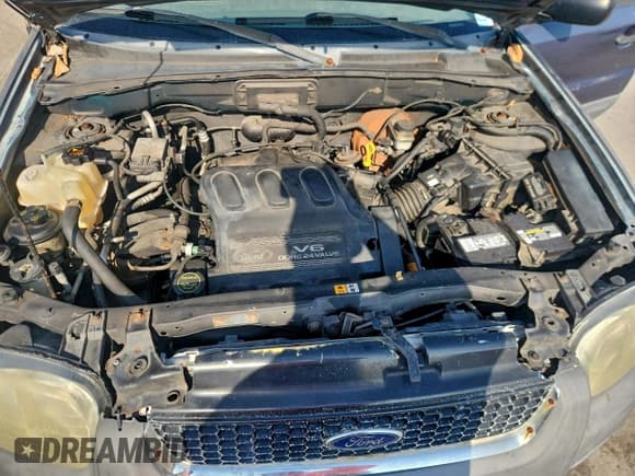 ✅ 2001 Ford Escape XLT • VIN: 1FMYU03121KC39322 • Lot: 94912905. Listed on Copart with 211,075 mi. Free auction sales archive from the USA and detailed vehicle history report at DreamBid. Image 12.