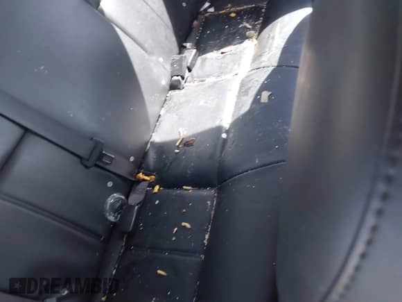 2013 Chevrolet Impala Police with VIN 2G1WD5E31D1256682, listed as a IAAI auction lot 42276990 with 148,251 mi miles and . Bid and sale history available at DreamBid. Image 8.