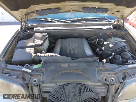 ✅ 2000 BMW X5 • VIN: WBAFB334XYLH03586 • Lot: 43708886. Listed on IAAI with 199,558 mi. Free auction sales archive from the USA and detailed vehicle history report at DreamBid. Image 10.