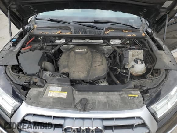 ✅ 2018 Audi Q5 Premium Plus • VIN: WA1BNAFY2J2200925 • Лот: 89595485. Опубликован ранее на Copart с пробегом 141 397 миль. Бесплатный доступ к архиву аукционных продаж из США и подробный отчёт об истории автомобиля на DreamBid. Изображение 12.