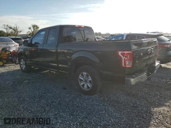 ✅ 2016 Ford F-150 XL • VIN: 1FTEX1C8XGFA51294 • Lot: 61220145. Listed on Copart with 245,174 mi. Free auction sales archive from the USA and detailed vehicle history report at DreamBid. Image 2.