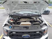 ✅ 2023 Ford F-150 XL • VIN: 1FTNF1E81PKF32204 • Lot: 42460248. Listed on IAAI with 39,966 mi. Free auction sales archive from the USA and detailed vehicle history report at DreamBid. Image 10.