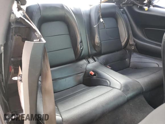 ✅ 2019 Ford Mustang GT Premium • VIN: 1FA6P8CFXK5193161 • Lot: 86142685. Listed on Copart with Not provided. Free auction sales archive from the USA and detailed vehicle history report at DreamBid. Image 10.