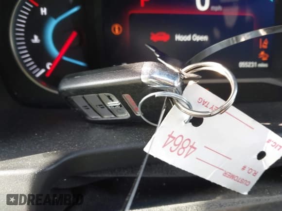 ✅ 2019 Honda Pilot EX-L • VIN: 5FNYF5H52KB041345 • Lot: 42029069. Listed on IAAI with 55,231 mi. Free auction sales archive from the USA and detailed vehicle history report at DreamBid. Image 11.