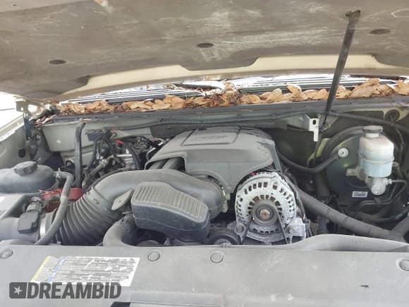 ✅ 2009 Chevrolet Suburban LS • VIN: 1GNFC16069R191034 • Lot: 41583684. Listed on IAAI with 195,900 mi. Free auction sales archive from the USA and detailed vehicle history report at DreamBid. Image 10.