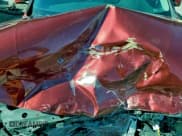 ✅ 2019 Kia Optima S • VIN: 5XXGT4L36KG334098 • Lot: 93890145. Wystawiony na Copart z przebiegiem 88 891 mil. Bezpłatny archiwum sprzedaży aukcyjnych z USA i szczegółowy raport historii pojazdu na DreamBid. Zdjęcie 11.