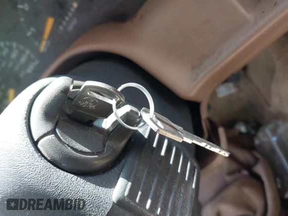 ✅ 1997 Chevrolet Blazer LS • VIN: 1GNDT13W3V2181824 • Lot: 41907453. Wystawiony na IAAI z przebiegiem 150 405 mil. Bezpłatny archiwum sprzedaży aukcyjnych z USA i szczegółowy raport historii pojazdu na DreamBid. Zdjęcie 11.