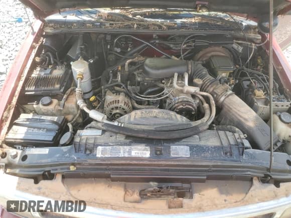 ✅ 1996 Chevrolet Blazer • VIN: 1GNDT13W1T2111686 • Lot: 64119395. Wystawiony na Copart z przebiegiem 138 596 mil. Bezpłatny archiwum sprzedaży aukcyjnych z USA i szczegółowy raport historii pojazdu na DreamBid. Zdjęcie 12.