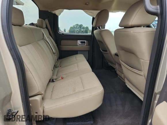 ✅ 2009 Ford F-150 XL • VIN: 1FTRW14809FA61709 • Lot: 81482525. Wystawiony na Copart z przebiegiem 86 928 mil. Bezpłatny archiwum sprzedaży aukcyjnych z USA i szczegółowy raport historii pojazdu na DreamBid. Zdjęcie 10.