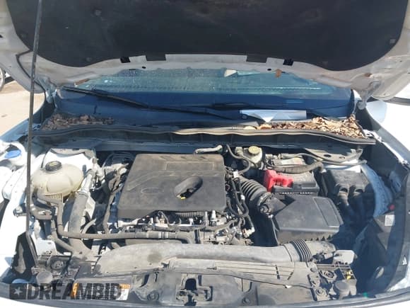 ✅ 2020 Ford Escape SE • VIN: 1FMCU0G67LUA54335 • Lot: 43364871. Listed on IAAI with 142,615 mi. Free auction sales archive from the USA and detailed vehicle history report at DreamBid. Image 10.