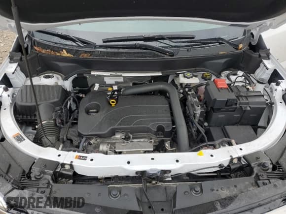 ✅ 2025 Chevrolet Equinox AWD ACTIV • VIN: 3GNAXSEG6SL143422 • Lot: 61568755. Wystawiony na Copart z przebiegiem 17 758 mil. Bezpłatny archiwum sprzedaży aukcyjnych z USA i szczegółowy raport historii pojazdu na DreamBid. Zdjęcie 11.