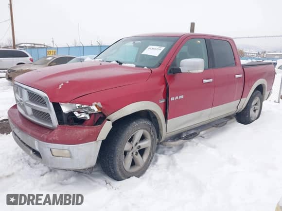 2010 Dodge 1500 Sport z VIN 1D7RV1CT6AS215298, wystawiony jako IAAI lot #41302229 z przebiegiem 299 836 mil mil oraz . Historia ofert i sprzedaży dostępna na DreamBid. Obrazek 2.