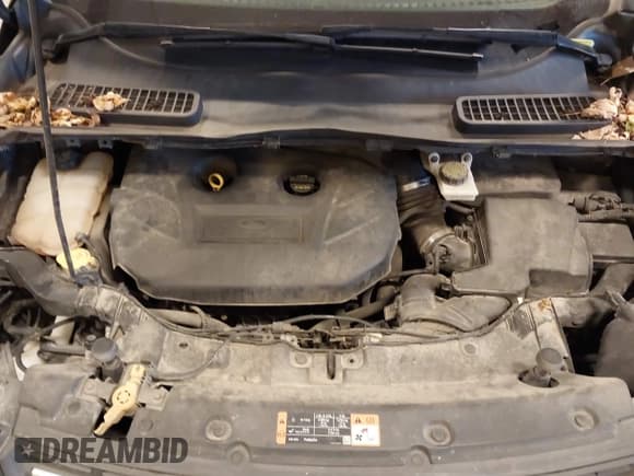 ✅ 2014 Ford Escape SE • VIN: 1FMCU9G94EUD61186 • Lot: 43636371. Listed on IAAI with 200,024 mi. Free auction sales archive from the USA and detailed vehicle history report at DreamBid. Image 10.