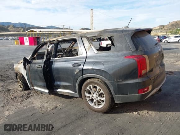 ✅ 2020 Hyundai Palisade SE • VIN: KM8R14HE9LU120447 • Lot: 43667338. Listed on IAAI with Not provided. Free auction sales archive from the USA and detailed vehicle history report at DreamBid. Image 3.
