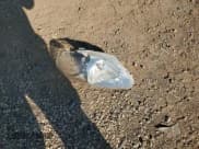 ✅ 1997 Honda Civic DX • VIN: 1HGEJ6222VL064309 • Лот: 71802665. Опубликован ранее на Copart с пробегом 150 584 миль. Бесплатный доступ к архиву аукционных продаж из США и подробный отчёт об истории автомобиля на DreamBid. Изображение 12.