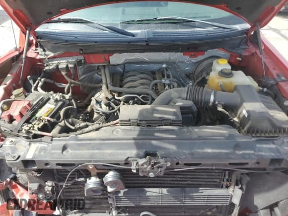 ✅ 2014 Ford F-150 XL • VIN: 1FTFX1CF3EKF43737 • Lot: 65291625. Listed on Copart with 100,213 mi. Free auction sales archive from the USA and detailed vehicle history report at DreamBid. Image 11.