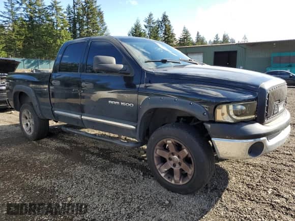 ✅ 2004 Dodge 1500 SLT • VIN: 1D7HU18D74S789509 • Лот: 77256074. Размещён на Copart с пробегом 188 053 миль миль. Получите бесплатный доступ к архиву аукционных продаж из США и посмотрите подробный отчёт об истории автомобиля на DreamBid. Изображение 4.