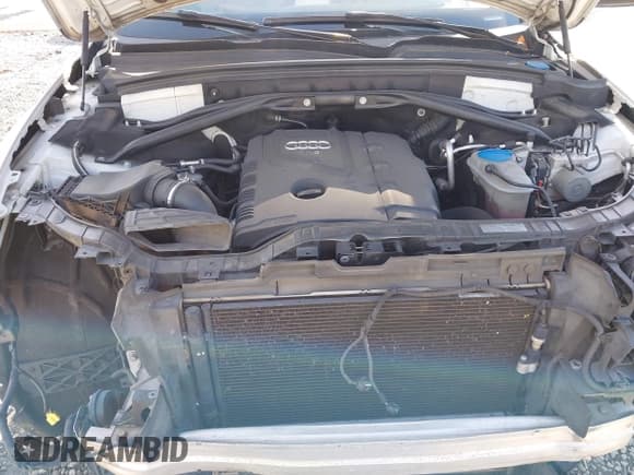 ✅ 2015 Audi Q5 Premium Plus • VIN: WA1LFAFP2FA017806 • Lot: 43770322. Listed on IAAI with 191,435 mi. Free auction sales archive from the USA and detailed vehicle history report at DreamBid. Image 10.